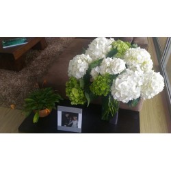 White Hydrangea - Premium