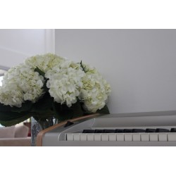 White Hydrangea - Extra