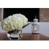 White Hydrangea - Extra