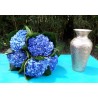 Deep Blue Hydrangea - Extra