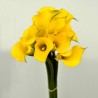 80 Yellow Mini Calla Lilies - 19 in long