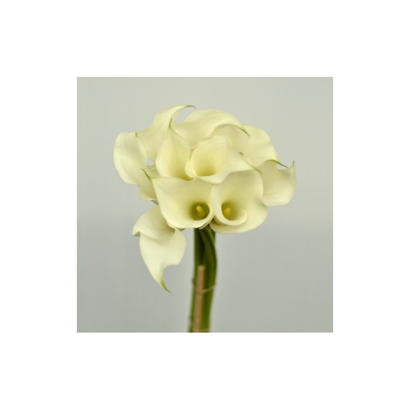 80 White Mini Calla Lilies - 19 in long
