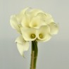 80 White Mini Calla Lilies - 19 in long