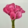 80 Hot Pink Mini Calla Lilies - 19 in long