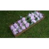 Hydrangea Light Purple - Extra