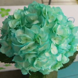 Turquoise Hydrangeas - Extra