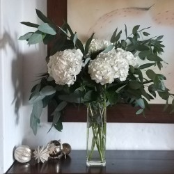 White Christmas Hydrangeas