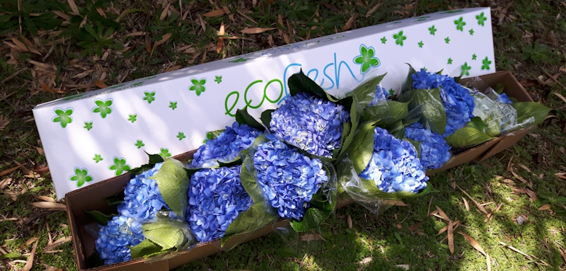 Ecofreshblooms - Box